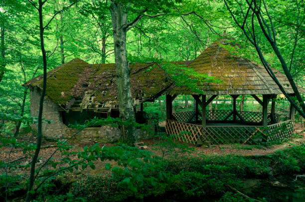 istock A resting place near the Bigar river 1293211194
