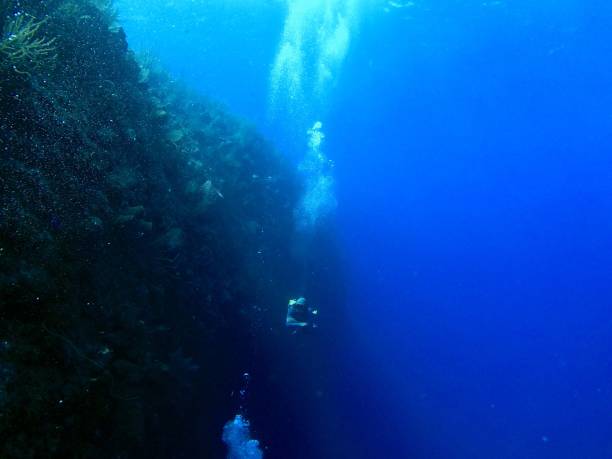 istock Bloody Bay Wall, Little Cayman 1293212210