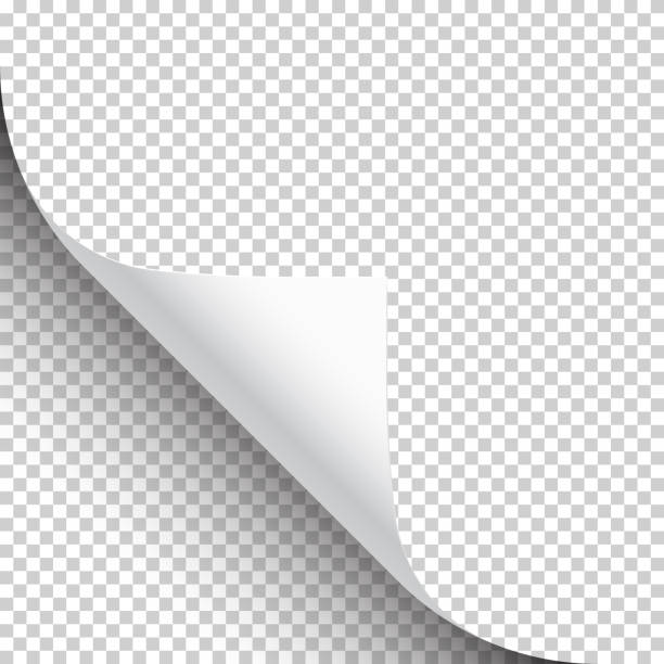 istock Curled page corner with shadow on transparent background. Blank sheet of paper. Vector illustration 1293214736
