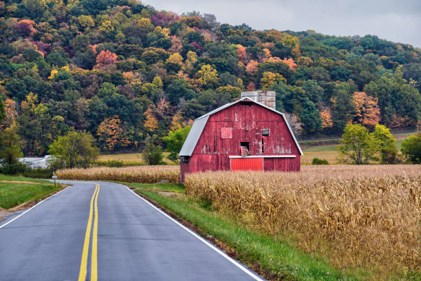 follaje de otoño en ohio. - orange ohio fotografías e imágenes de stock