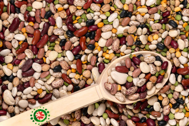 istock Mixed Legumes Peas and Beans Background and Texture 1293216958