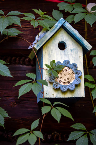 istock Old decorative colorful wooden bird house 1293219383