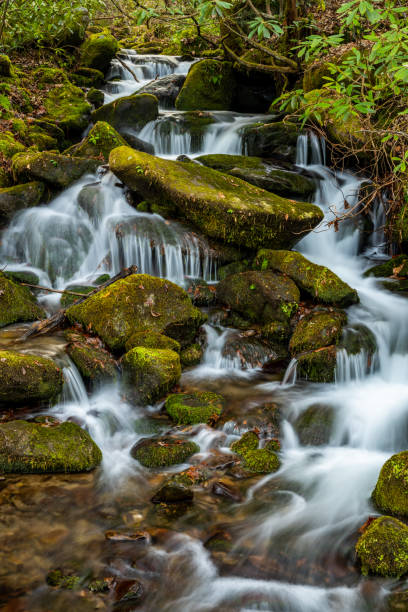 istock Long Exposure of Mossy Rocks and Rushing Creek 1293220437