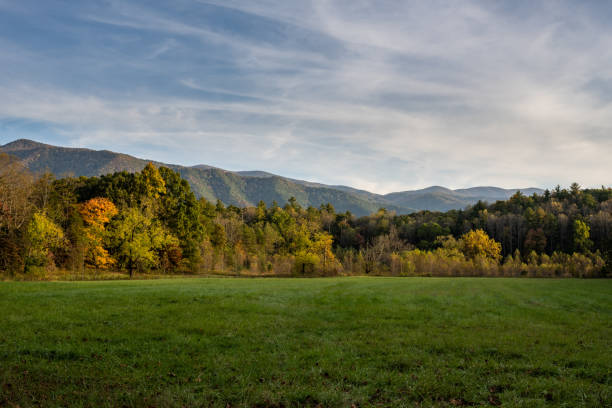 istock Peaceful Field With Layers of Trees and Mountains 1293221193