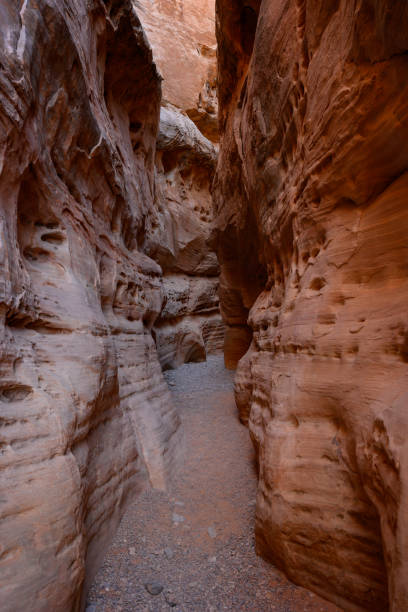 istock Slot Canyon Disappears Around Corner 1293221314