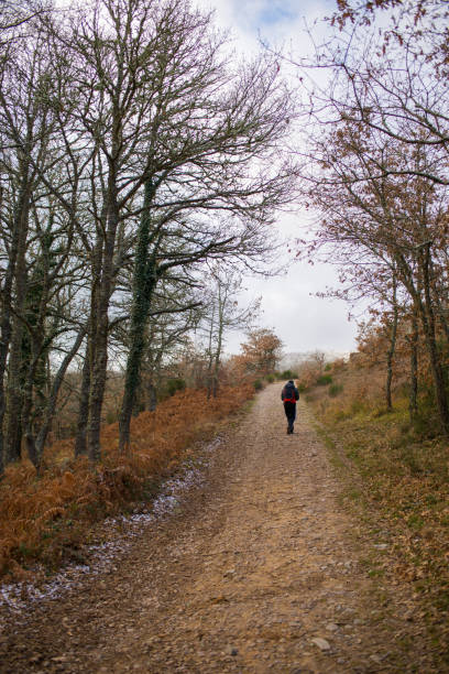 istock Camino de Santiago 1293222067