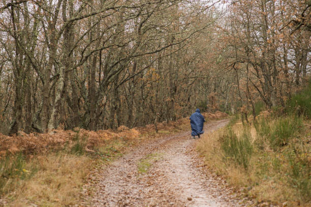 istock Camino de Santiago 1293222196