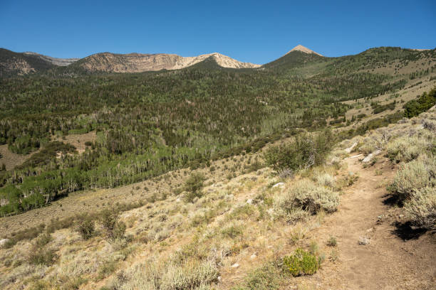 istock Trail Rises From Desert Floor To Mountains Above 1293222222
