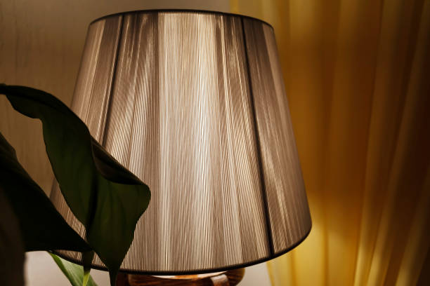 istock Living room lamp shade close up 1293223982