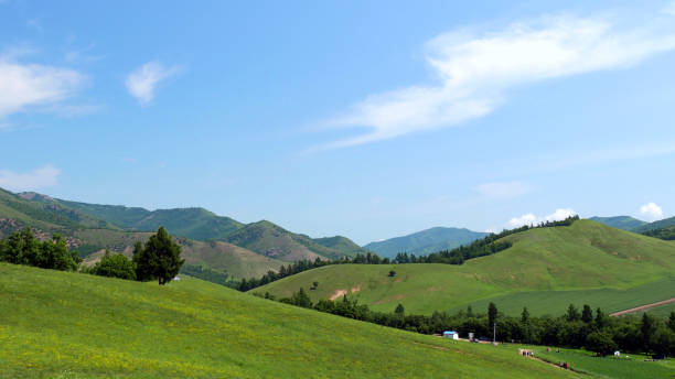 istock Green mountains in the summer 1293224043