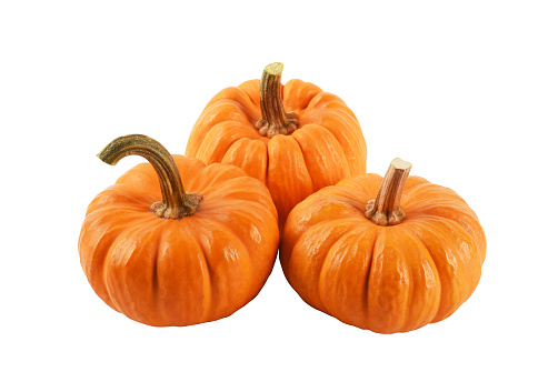 Group of orange color pumpkins isolated on the white background with clipping path
