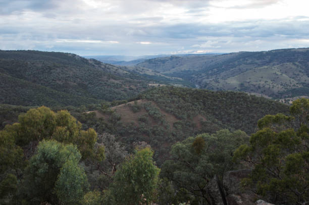 istock merlin beuford lookout 1293227985