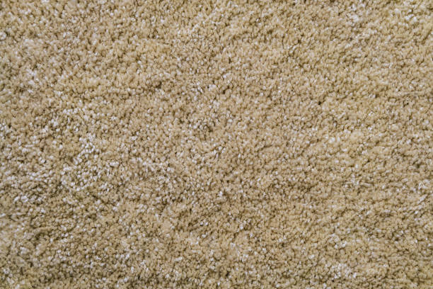 istock Texture of beige frieze carpet. Artificial wool material carpeting. 1293228020
