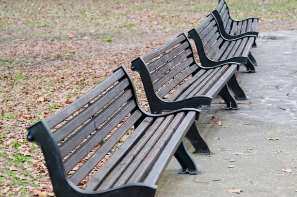 istock Benches in the park 1293230315