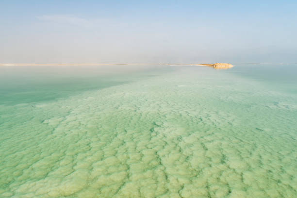 istock Texture of Dead sea. Salty sea shore 1293230904