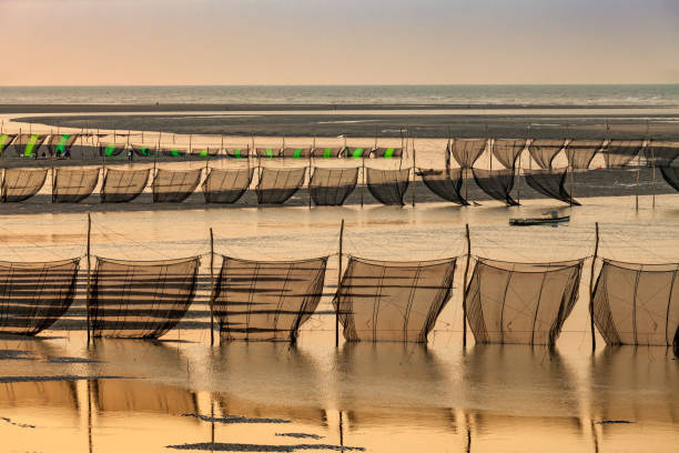 trampas de anguila en medio del río en miaoli, taiwán - eel trap fotografías e imágenes de stock