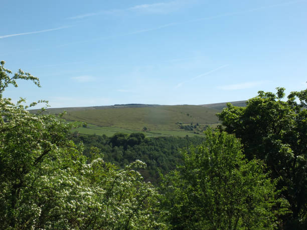 vista panorámica del paisaje entre los árboles de primavera en el valle frío por encima de los riscos de hardcastle en el oeste de yorkshire - west yorkshire forest hawthorn yorkshire fotografías e imágenes de stock