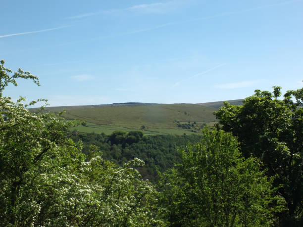 西ヨークシャーのハードキャッスルクラッグの上の冷たい谷の春の木々の間のパノラマ風景の景色 - west yorkshire forest hawthorn yorkshire ストックフォトと画像