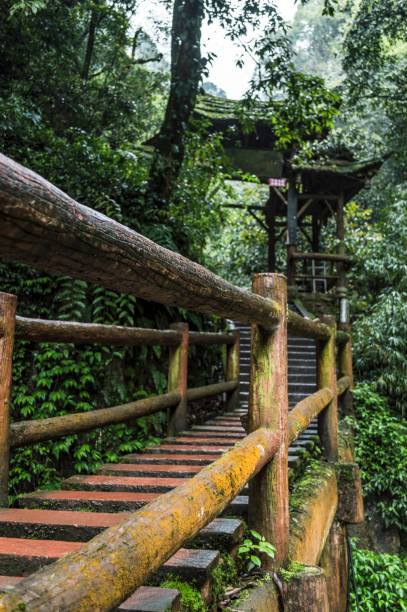 istock The path of Mount Qingcheng 1293235266