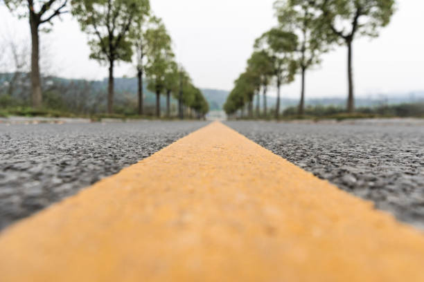 Country road through horse pastures in eastern USA.
