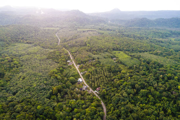 istock Aerial view tropical green forest with road on island 1293237117