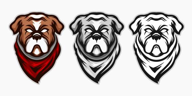 illustrazioni stock, clip art, cartoni animati e icone di tendenza di bulldog cartone animato mascotte bundle - mascot anger baseball furious