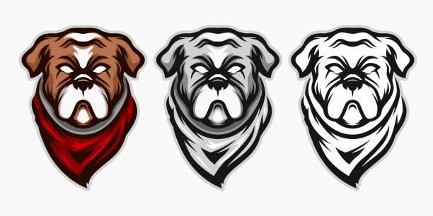 ilustrações de stock, clip art, desenhos animados e ícones de bulldog cartoon mascot bundle - mascot anger baseball furious