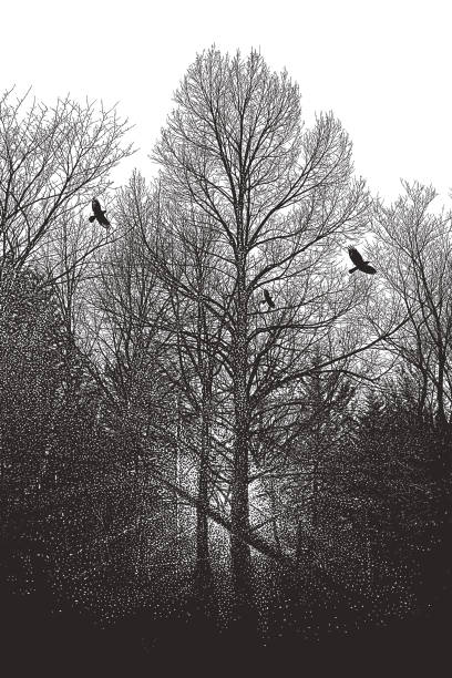 поздние осенние деревья и вороны - tree winter bird branch stock illustrations