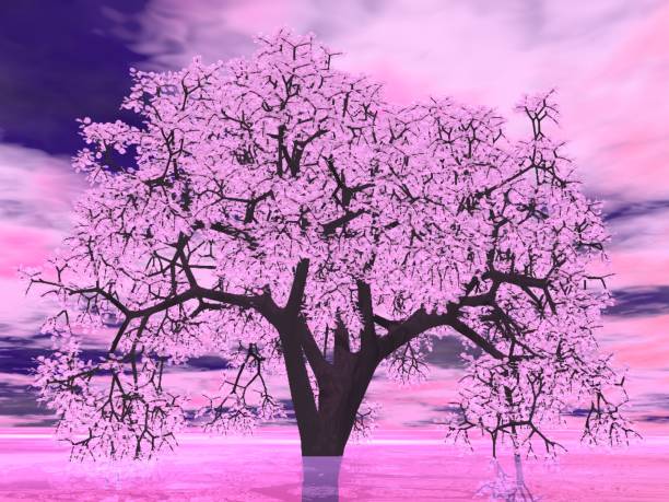 istock Fantastic landscape of Sky and Cherry Blossoms 1293247980