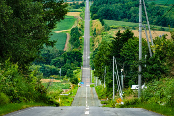 The path of the roller coaster (Furano, Hokkaido) The path of the roller coaster (Furano, Hokkaido). Shooting Location: Hokkaido Furano national road stock pictures, royalty-free photos & images