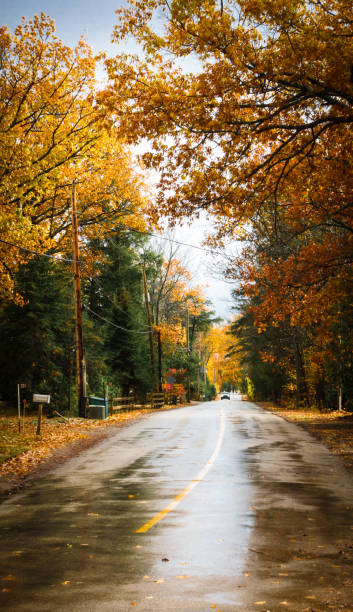 istock View of empty wet road 1293261364