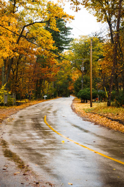 istock Wet street in autumn 1293262197