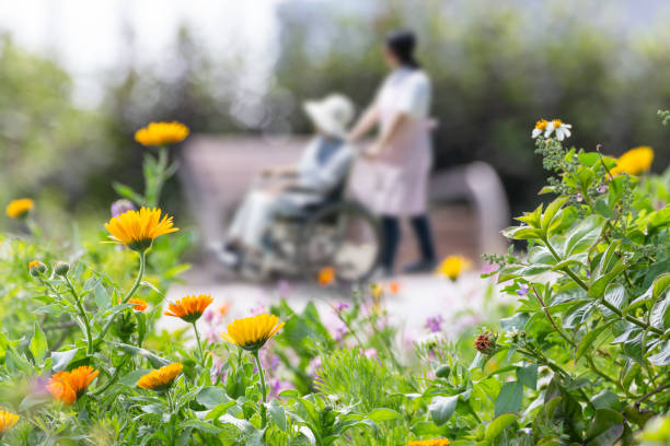 sillas de ruedas de edad avanzada y ayudantes de cuidado dan un paseo en un parque con flores - residencia de ancianos fotografías e imágenes de stock