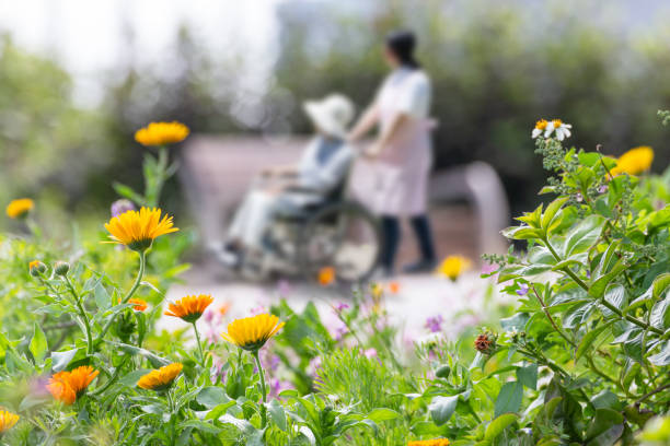 Elderly wheelchairs and care helpers take a walk in a flowered park Elderly care image assisted living stock pictures, royalty-free photos & images