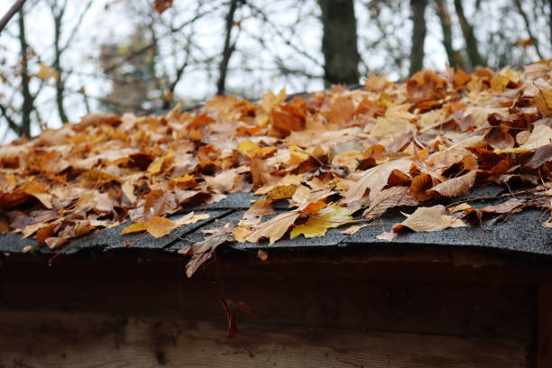 istock Many yellow leaves on a Hut roof 1293263198