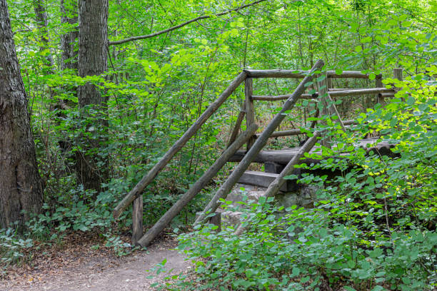 istock Details from wood and stone bridge 1293267128