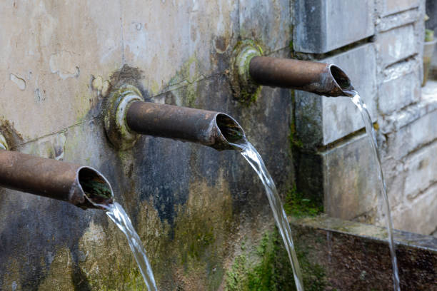 Old water fountain in a forest