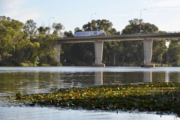 poranne słońce łapie ciężarówkę przechodzącą przez most nad rzeką murray do mildury w australijskim outbacku - victoria water lily zdjęcia i obrazy z banku zdjęć