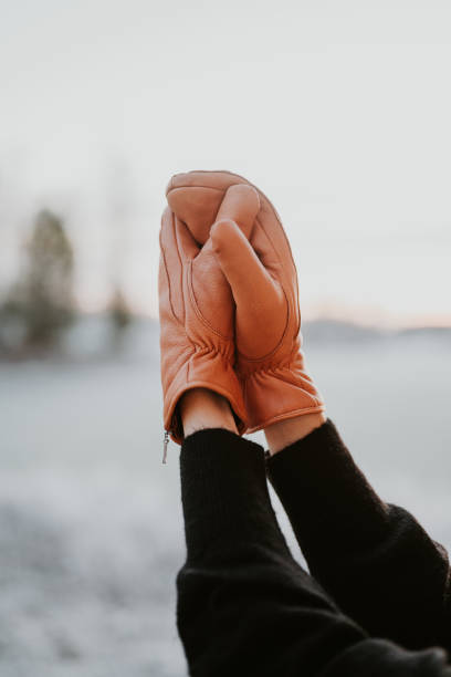 istock Warm leather gloves mittens in winter 1293274542