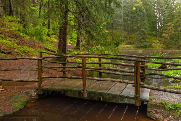 Sulfner Weiher pond, Hafling near Merano, South Tyrol