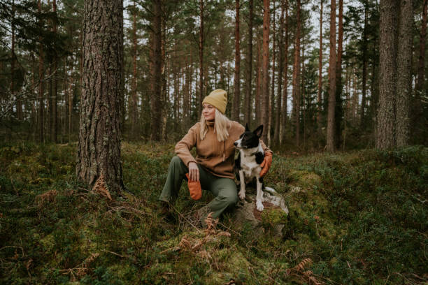 woman and her dog out on hike in nature forest landscape - women common 40s candid imagens e fotografias de stock