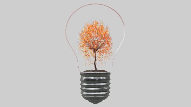istock Light bulb with tree inside on white background. Green Energy Concept. 1293276265