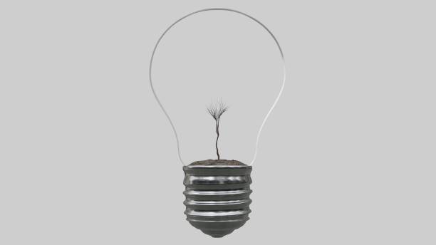 istock Light bulb with tree inside on white background. Green Energy Concept. 1293276275