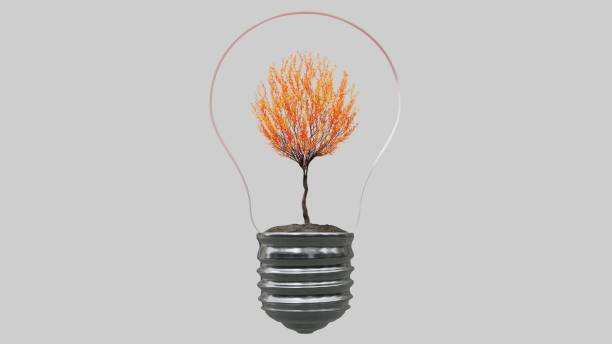 istock Light bulb with tree inside on white background. Green Energy Concept. 1293276276