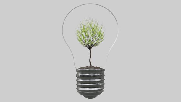 istock Light bulb with tree inside on white background. Green Energy Concept. 1293276283