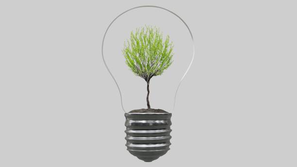 istock Light bulb with tree inside on white background. Green Energy Concept. 1293276297