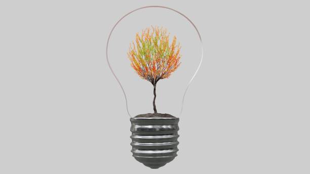 istock Light bulb with tree inside on white background. Green Energy Concept. 1293276314