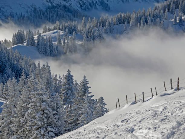 istock deep snow-covered mountain landscape with sunshine and fog 1293277188