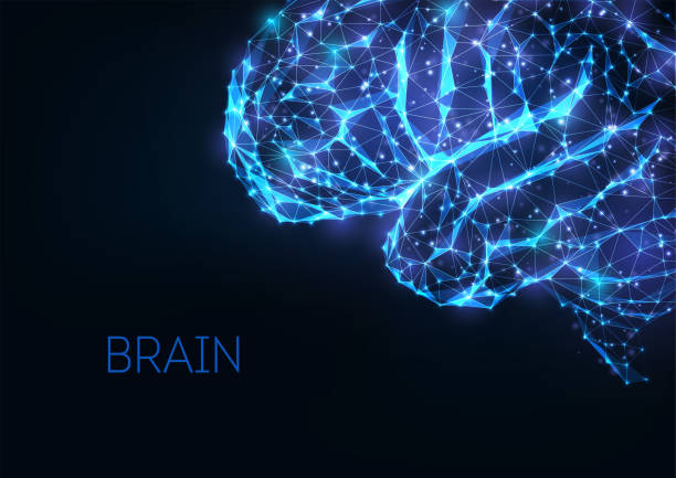 istock Futuristic glowing low polygonal brain as connected lines, stars isolated on dark blue background. 1293279343