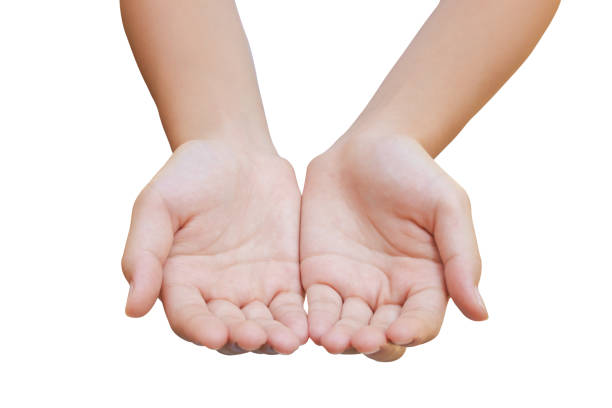 istock Caucasian female hand gesturing in white background. 1293279928